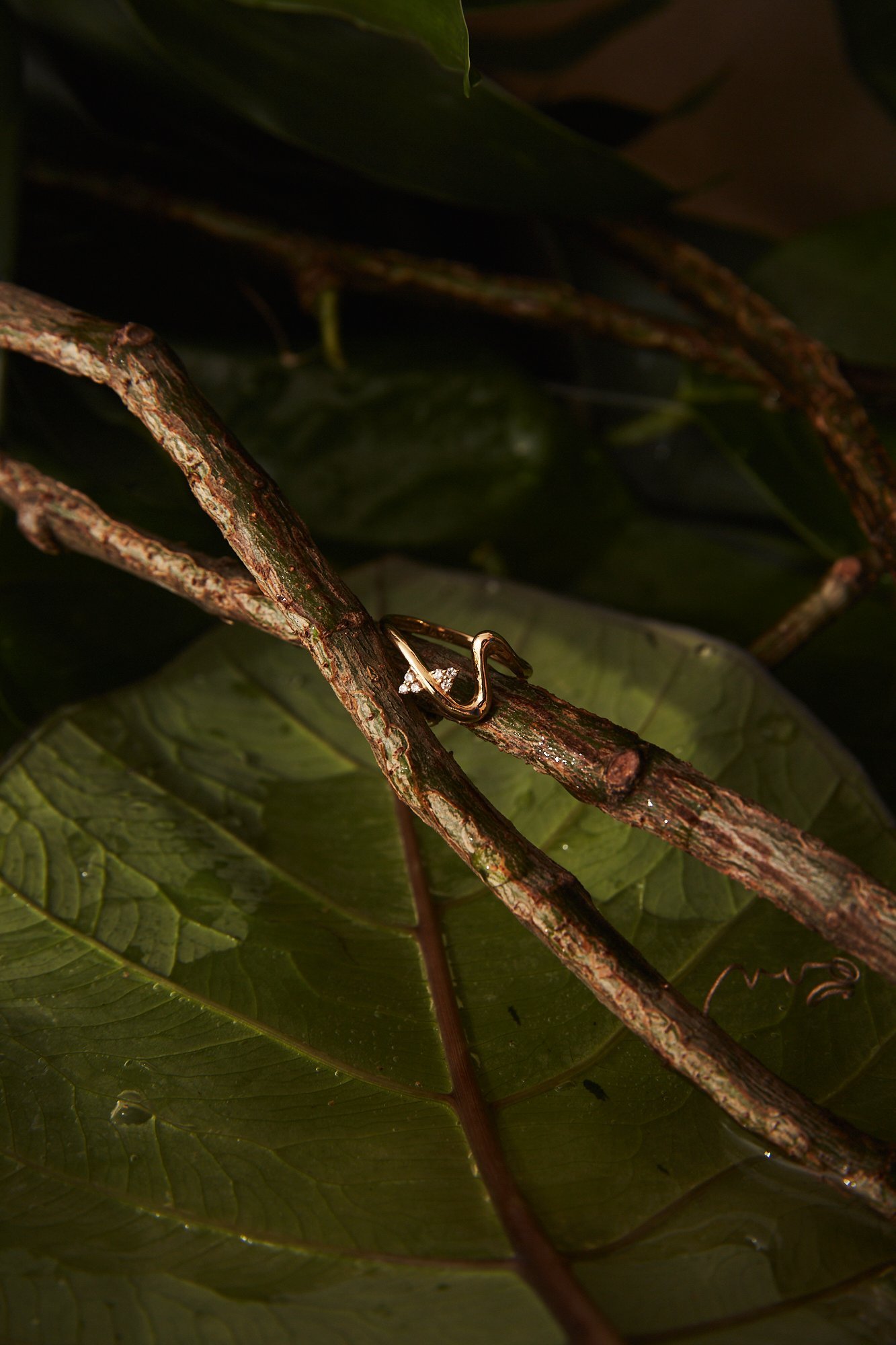 ANEL LUNA OURO 18k - Image 3